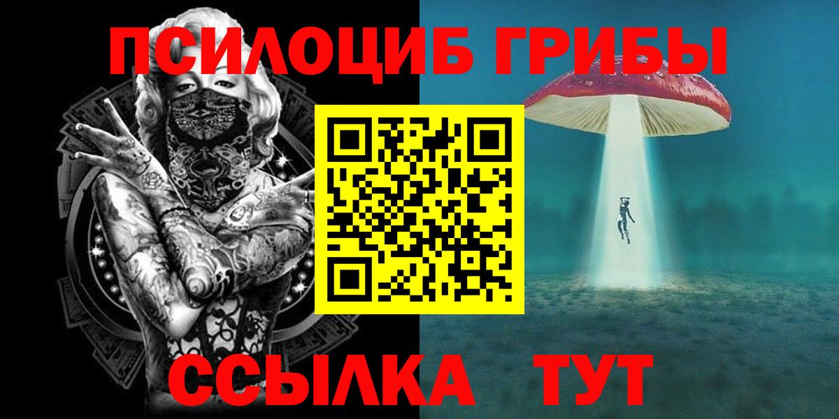 Галлюциногенные грибы мицелий  продажа наркотиков  Скопин  Вход с VPN  Псилоцибиновые грибы мицелий 